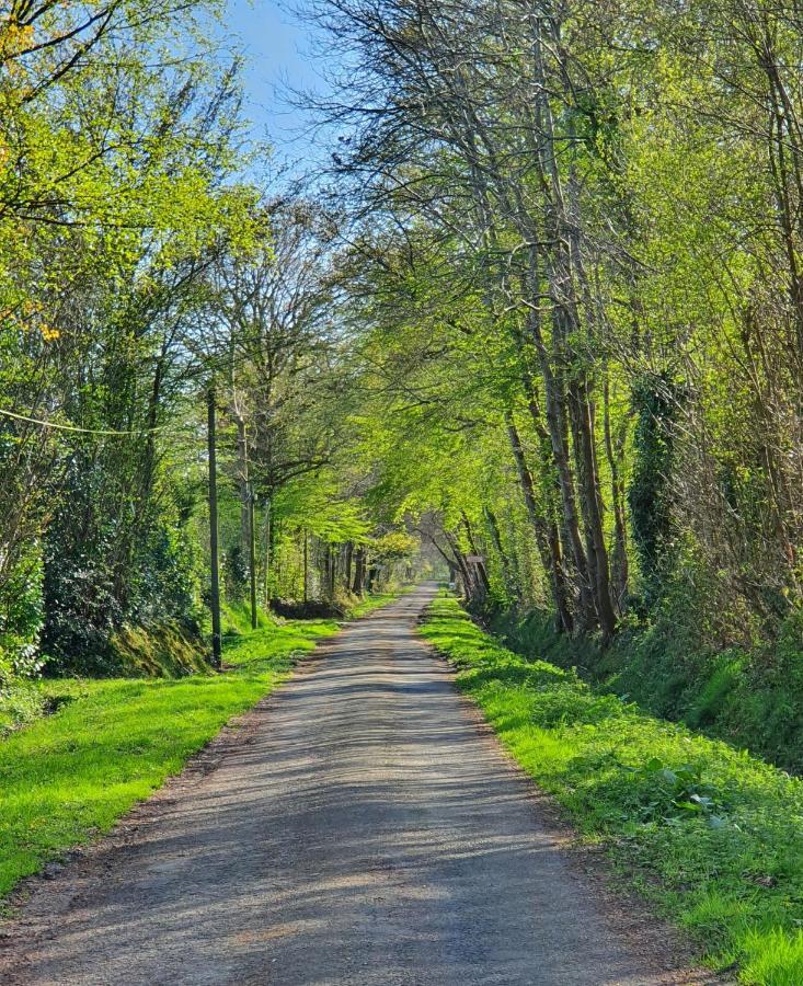 Le Clos Joly 14 Saint-Gâtien-des-Bois Exteriér fotografie
