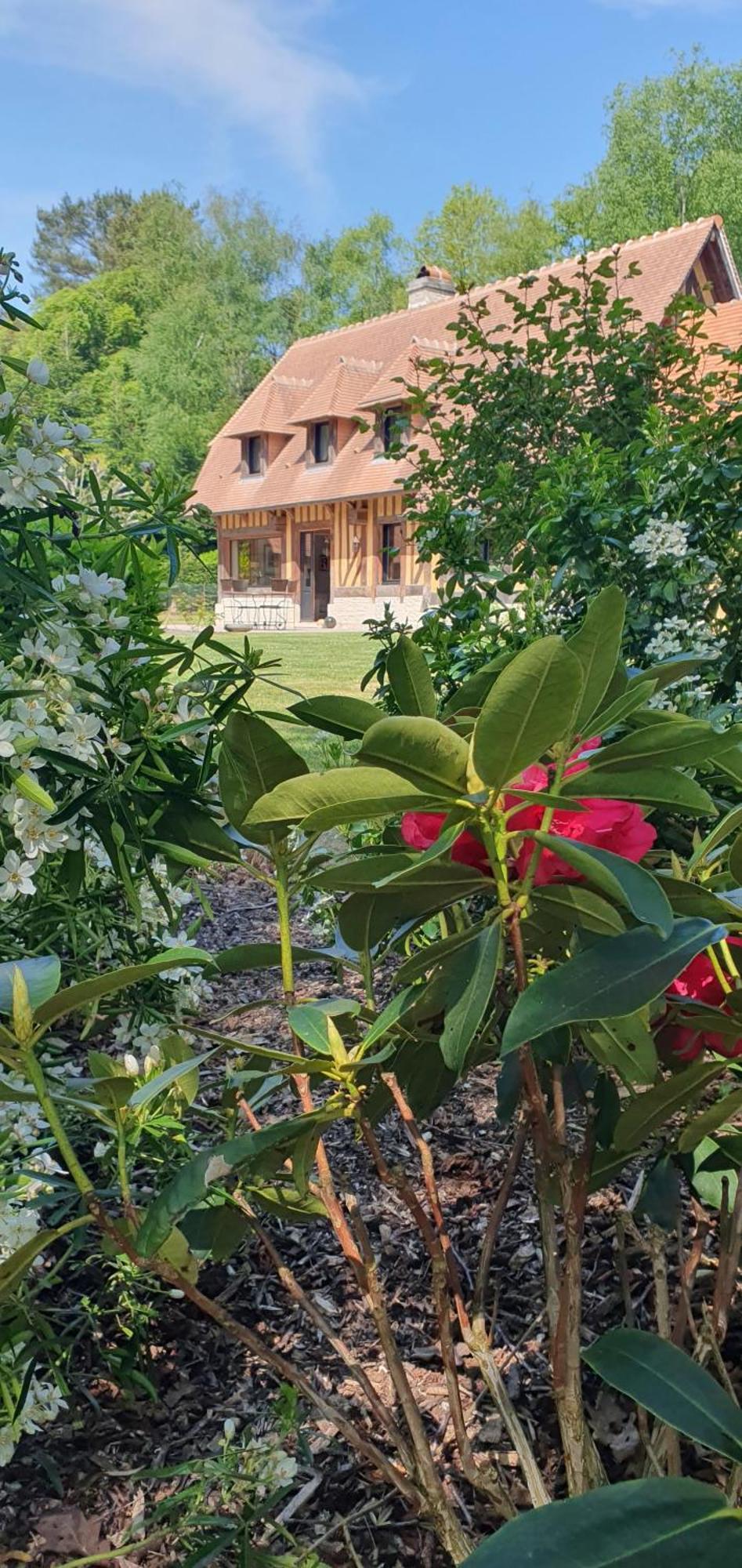 Le Clos Joly 14 Saint-Gâtien-des-Bois Exteriér fotografie